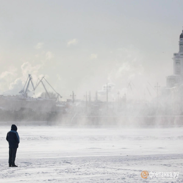 Источник: Сергей Михайличенко / FONTANKA.RU