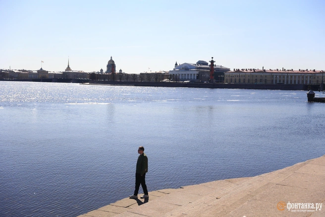 Новый рекорд. Петербург радуется, но это ненадолго | Источник: Сергей Михайличенко / «Фонтанка.ру»