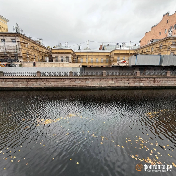 Источник: Сергей Михайличенко / «Фонтанка.ру»