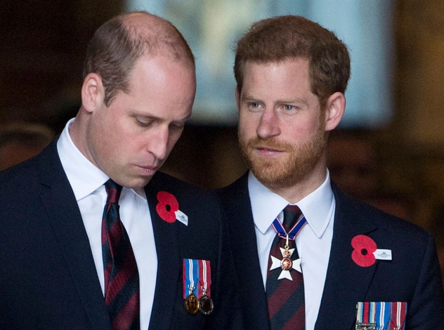 Отыграть назад: как Уильям предсказал «Мегзит», и какой совет он дал Гарри (но тот не послушал)