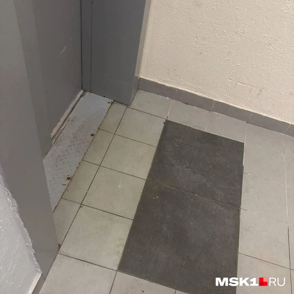 Источник: читательница MSK1.RU Светлана