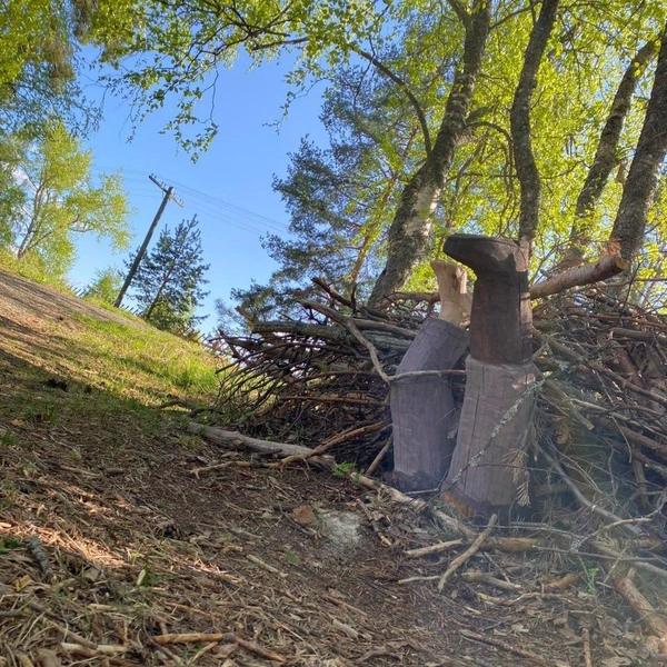 Источник: предоставлено Светланой Хребтовой