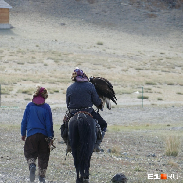 Охота с беркутами — древняя монгольская традиция | Источник: Дарья Черткова