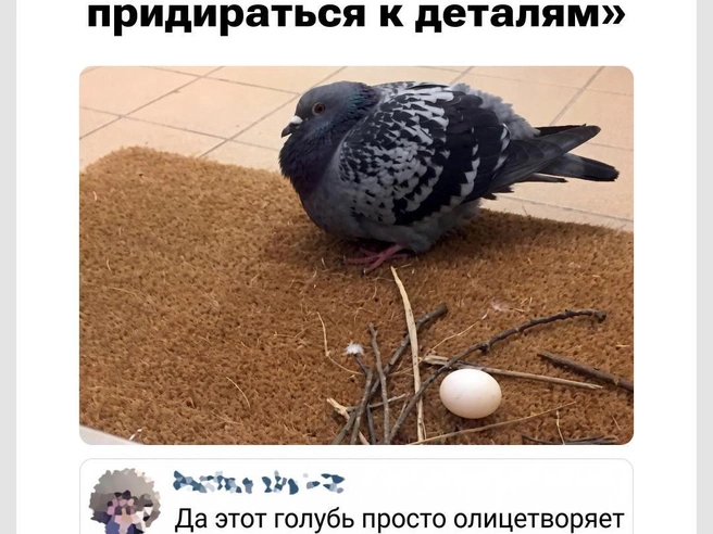 Зато сделано собственными силами | Источник: Городские медиа