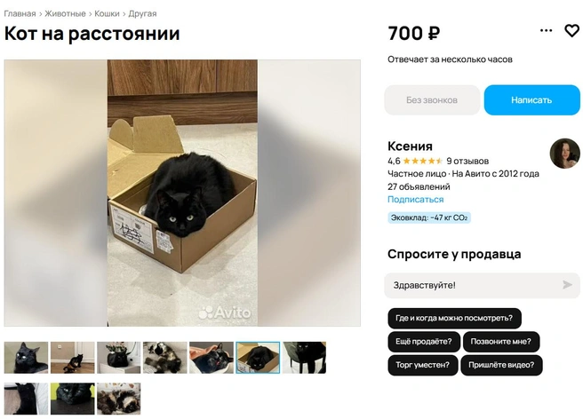 Источник: Avito 