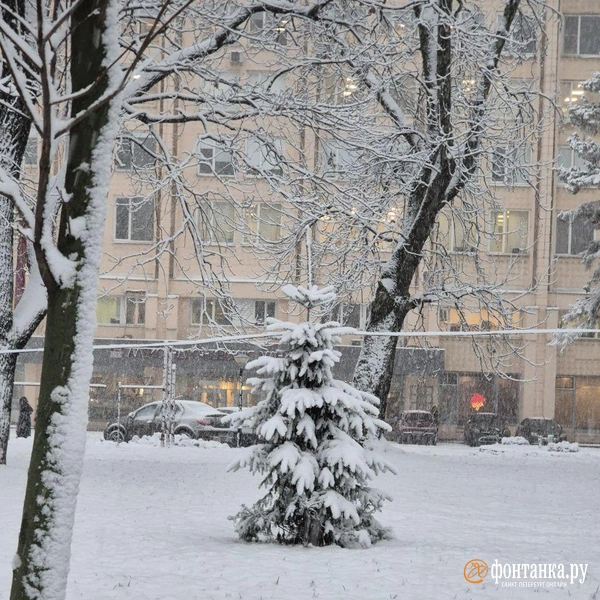 Источник: FONTANKA.RU