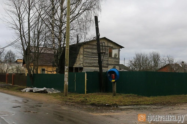 Источник: Ксения Потеева/"Фонтанка.ру"