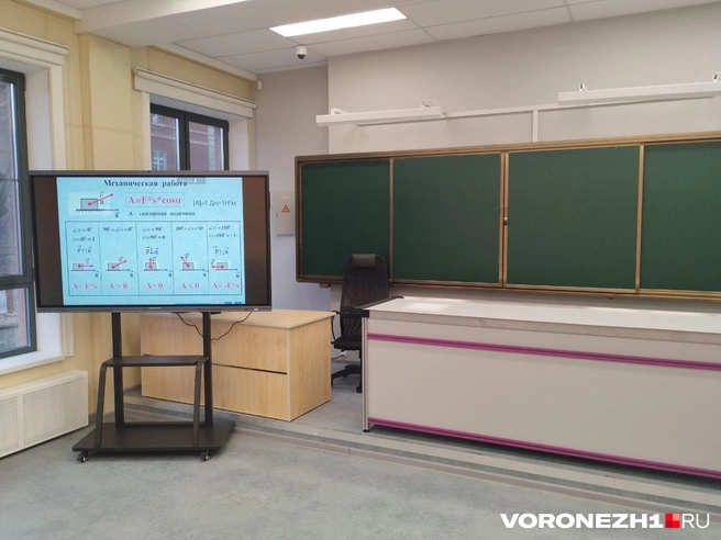 Источник: Дмитрий Волгин / Voronezh1.ru