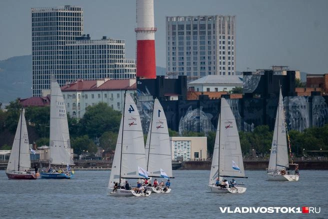 Источник: Елена Буйвол / VLADIVOSTOK1.RU