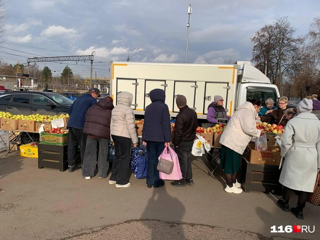 Ажиотаж вызвали яблоки | Источник: Ильгиз Шарифзянов / 116.RU