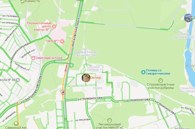 Источник: «Яндекс Карты» / yandex.ru/maps