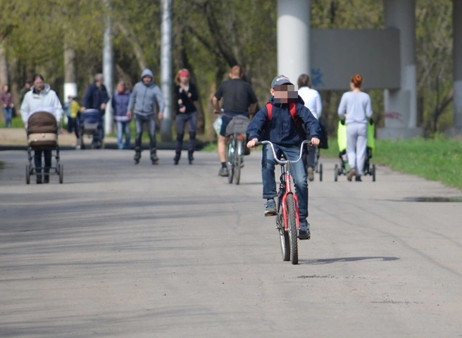 В субботу в Рязанской области потеплеет до +17 °С | ya62.ru