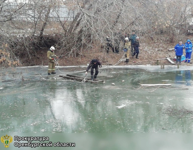 Источник: прокуратура Оренбургской области