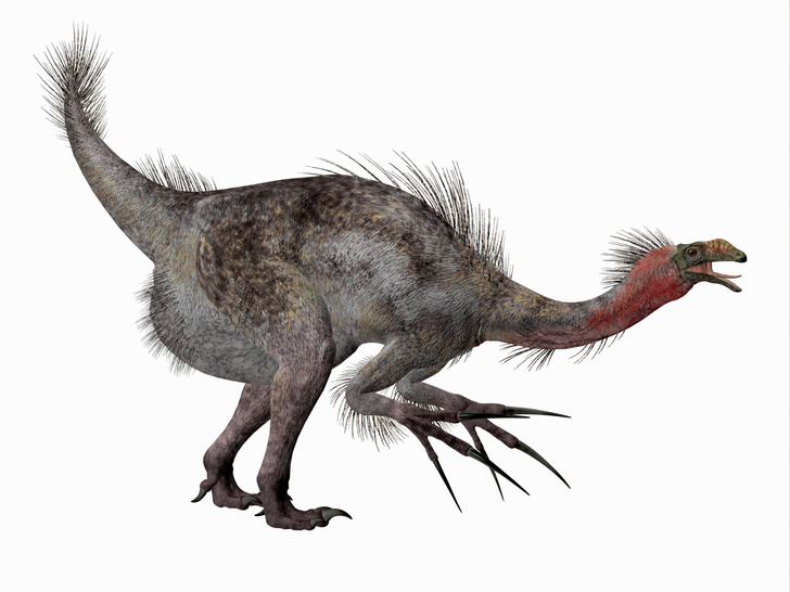 Фрики мезозойской эры: 10 динозавров, в существование которых сложно поверить