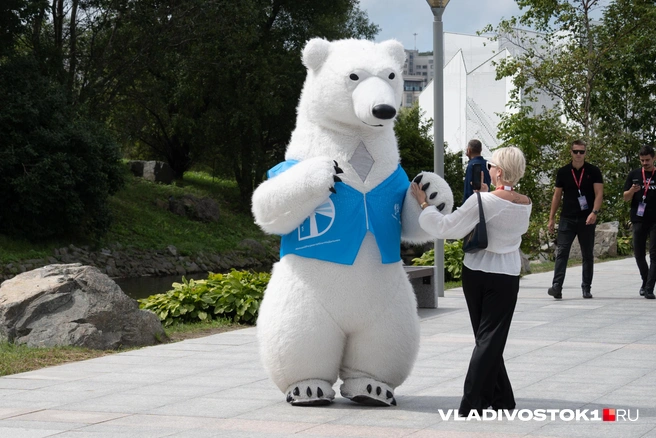 Источник: Елена Буйвол / VLADIVOSTOK1.RU