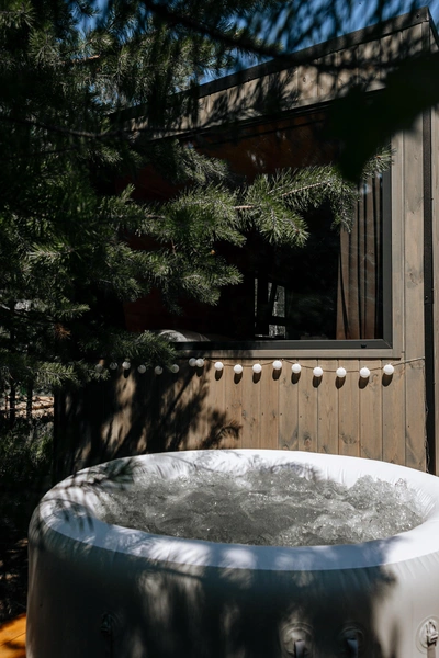 Источник: Forest House