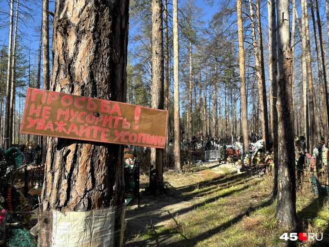 Источник: Кирилл Митин