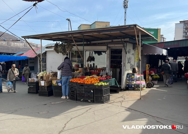 Источник: Елена Буйвол / VLADIVOSTOK1.RU