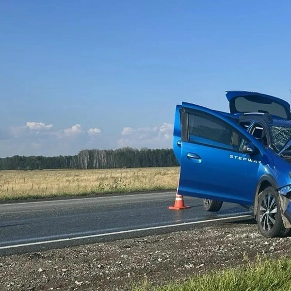 Двух девочек доставили в больницу | Источник: УМВД России по Омской области / max.ru