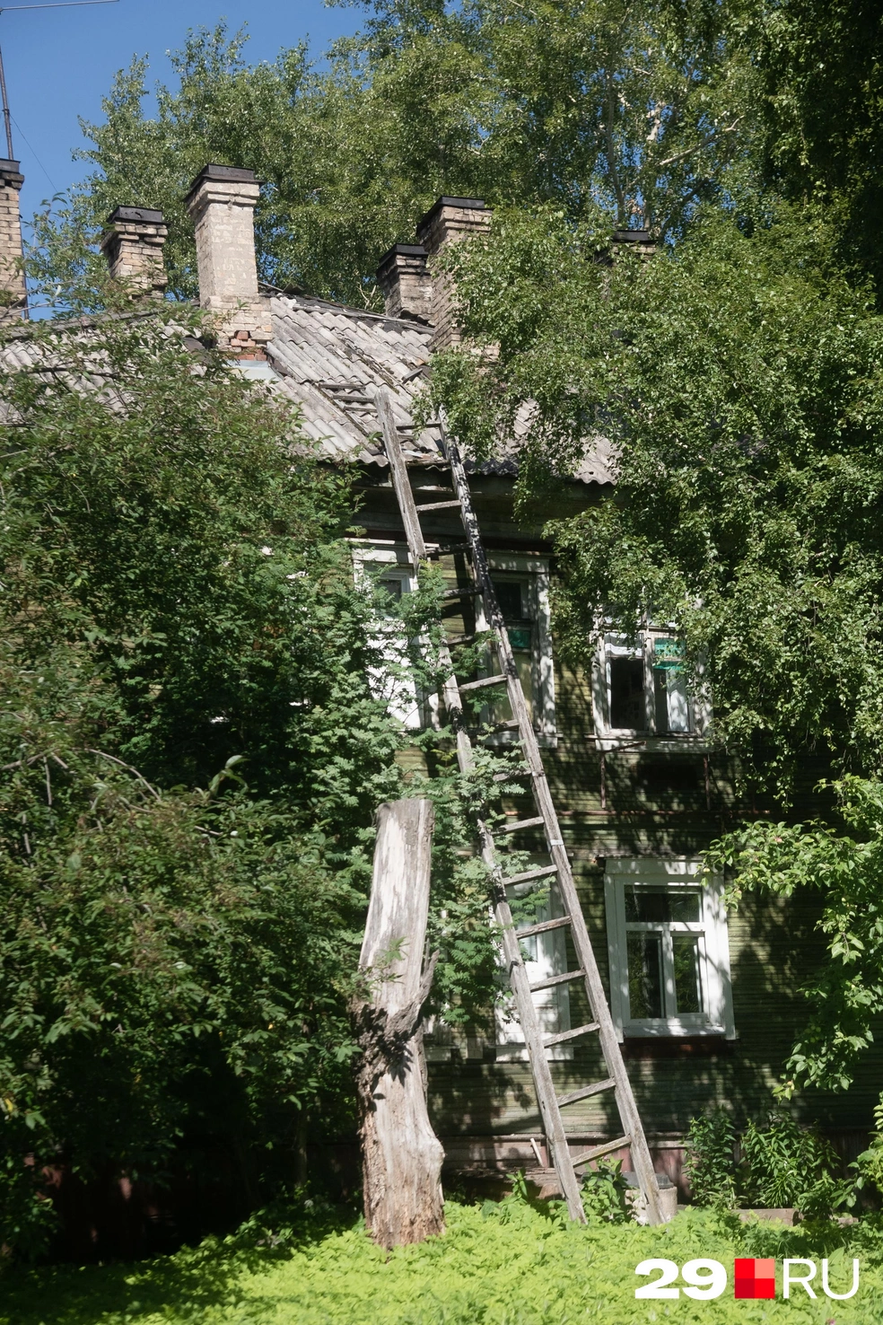 Источник: Иван Митюшёв / 29.RU
