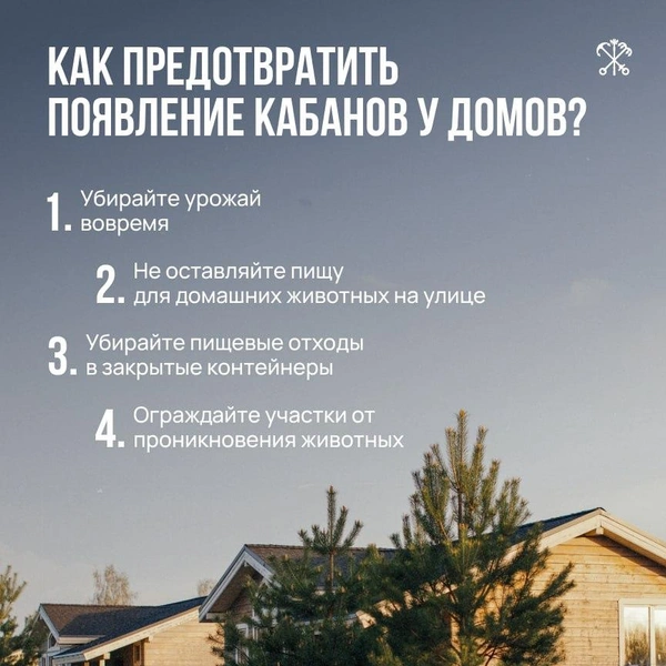Источник: правительство Петербурга
