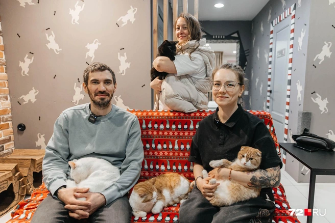 Анастасия Харлампова (сверху) открыла котокафе, а ветеринар Никита Сурков (слева) и благотворитель Алиса Алиева (справа) занимаются подбором и пристраиванием кошек | Источник: Ирина Шарова / 72.RU