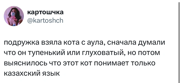 Источник: X (Twitter)