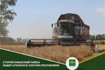 Стерлитамакский район — лидер по сбору зерна в Башкортостане | Источник: str.bashkortostan.ru