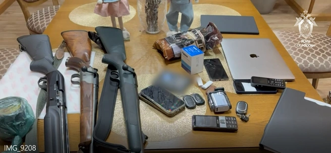 В доме Александра Грицая провели обыск | Источник: СК России
