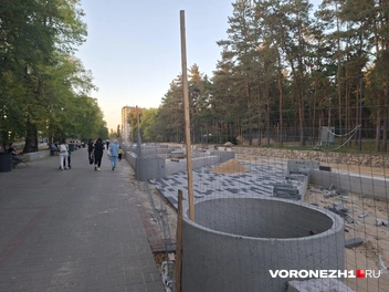 Источник: Алена Воропаева / Voronezh1.ru