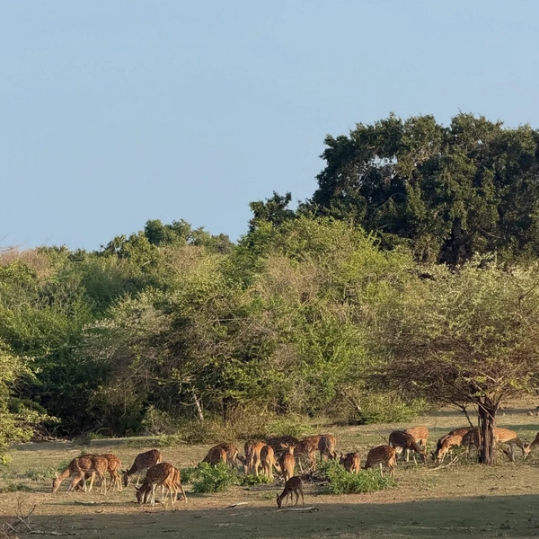 Источник: Соцсети