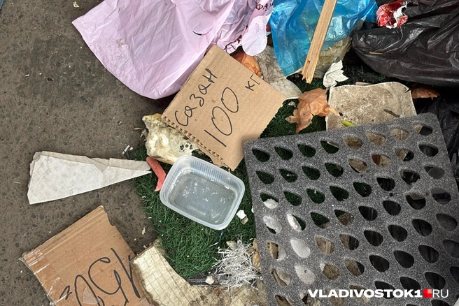 Источник: Елена Буйвол / VLADIVOSTOK1.RU