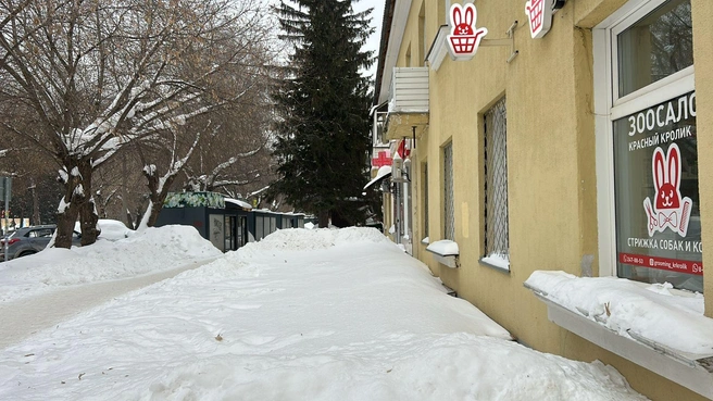 Один из домов УК «Регион» тоже с неочищенной отмосткой | Источник: Светлана Бакшеева