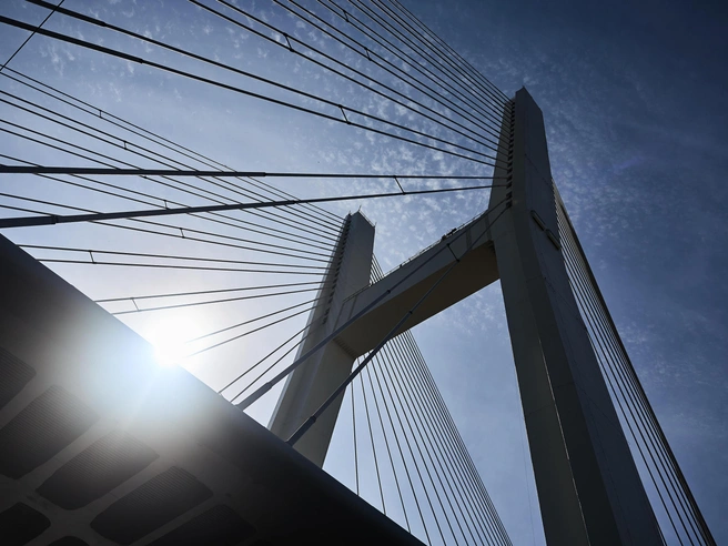 Сводка новостей | Источник: Александр Ощепков / NGS.RU