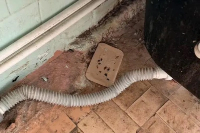 Тараканы в детском отделении волгоградской больницы №15