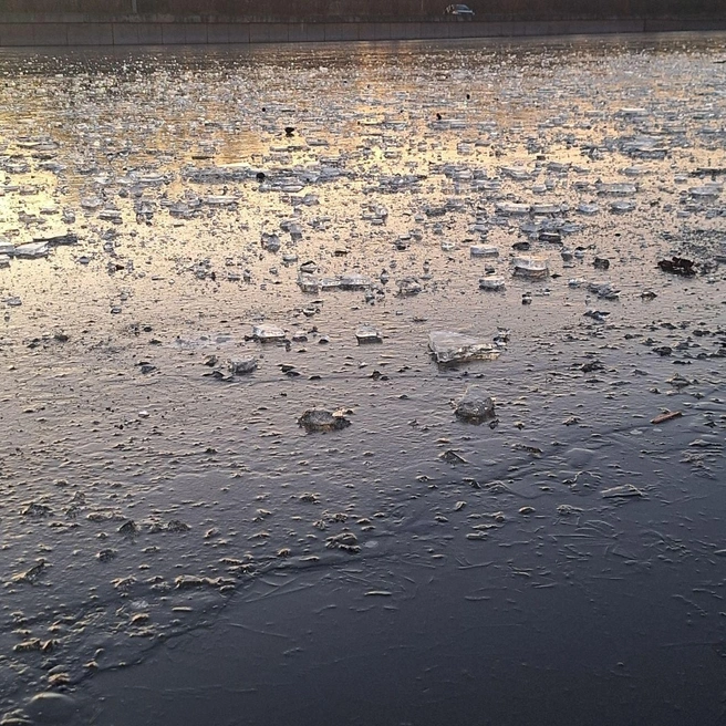 Источник: Мария Решетникова