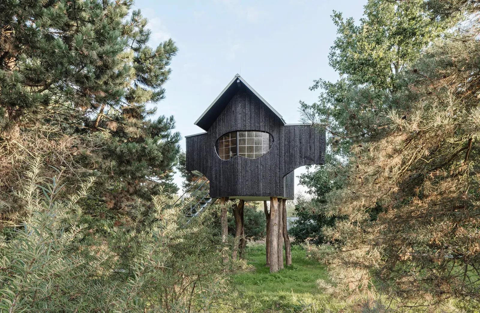 Необычные дома: чайные домики на деревьях архитектора Терунобу Фудзимори |  myDecor