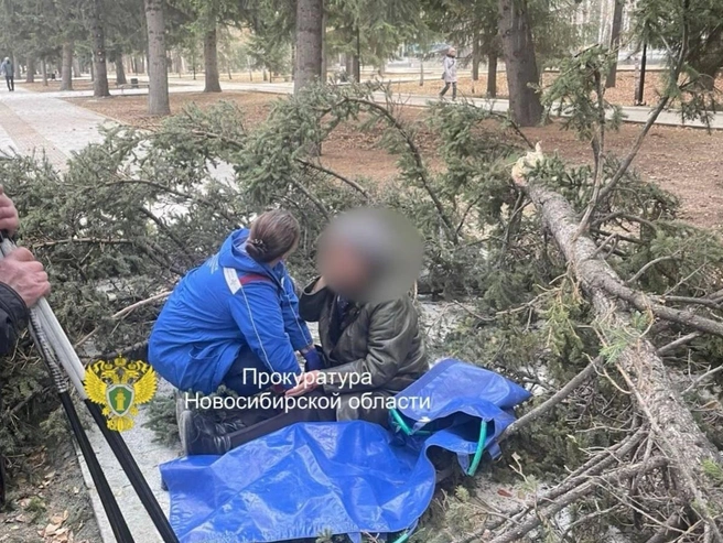 Происшествие случилось в дневное время | Источник: Прокуратура Новосибирской области / Телеграм