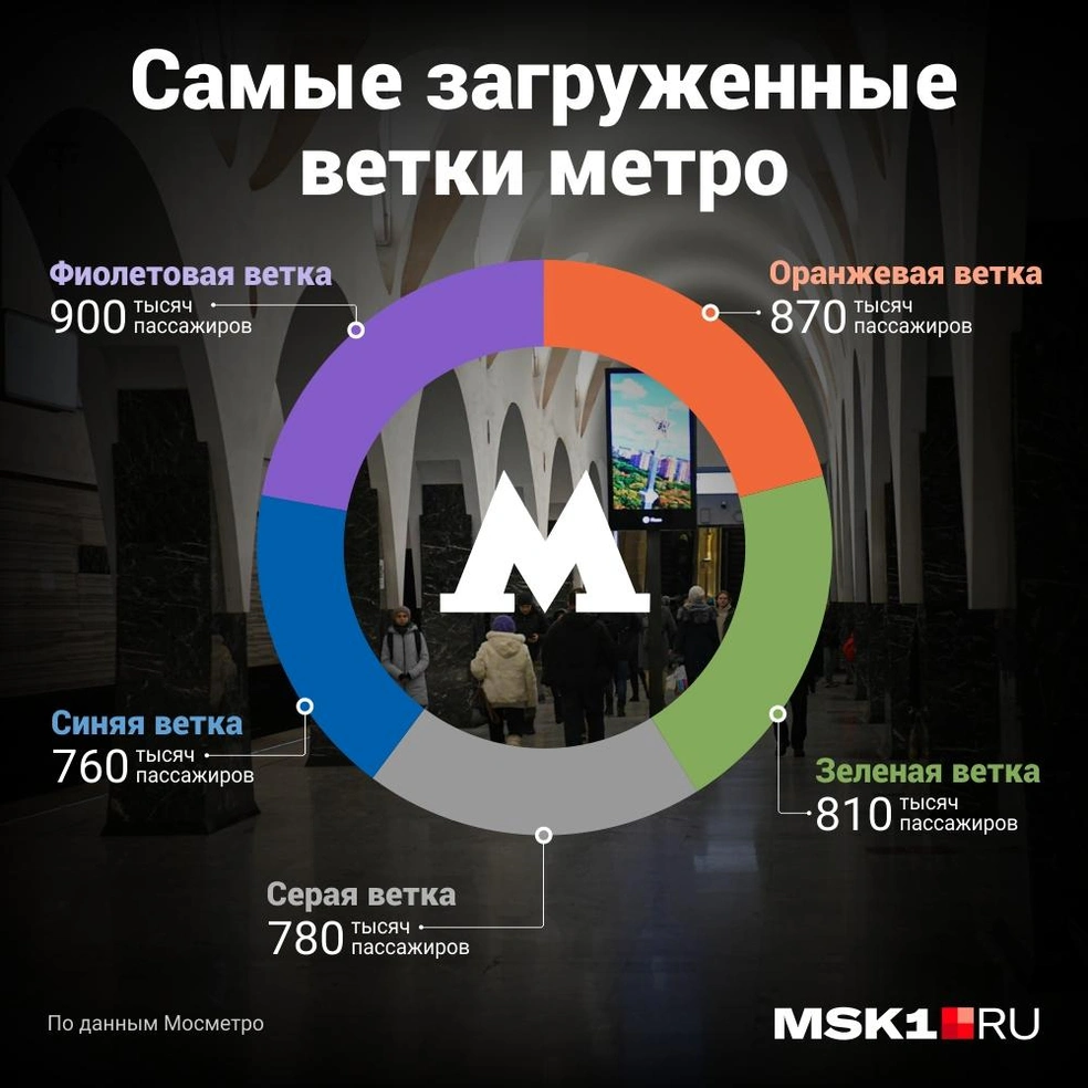 Самые загруженные станции московского метро: давки, толпы и транспортные  коллапсы в московском метро, транспортный эксперт рассказал, почему давки в  метро - 7 февраля 2024 - МСК1.ру