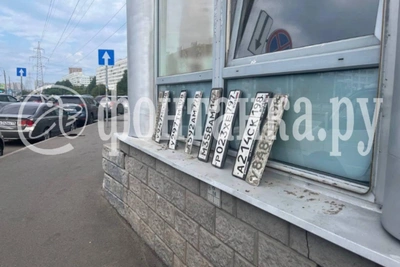 Петербург собирает «урожай» госномеров после разгула стихии