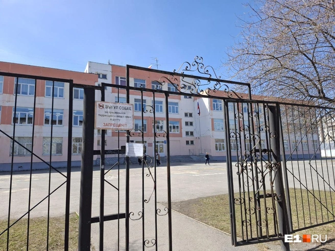 После массового отравления школу перевели на дистант | Источник: Елена Аносова / E1.RU