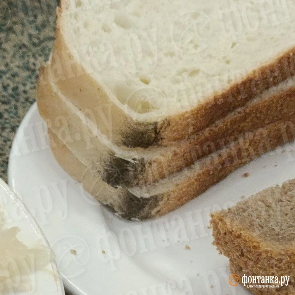 Источник: читатель «Фонтанки»