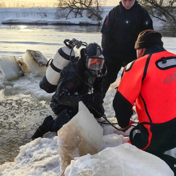 Кадры поисковой операции в Звенигороде от спасателей | Источник: МЧС Московской области / T.me
