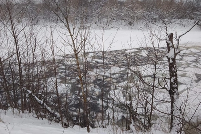 Хозяин овец в Башкирии уже наказывался за выпас на озере