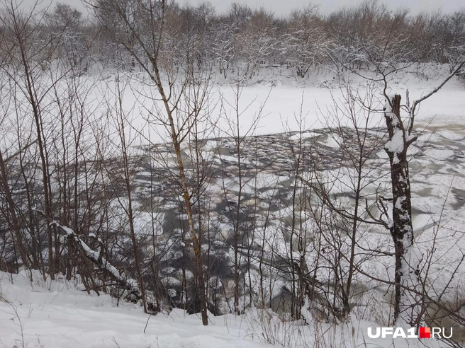 Сотни барашков умерли под водой | Источник: читатель UFA1.RU