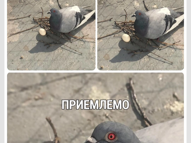 Видно, что старался изо всех сил | Источник: Городские медиа