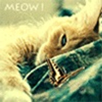 Аватарка Капель