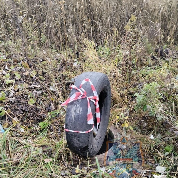 Собаку, провалившуюся в люк, спасали в Тосненском районе Ленобласти | Источник: Аварийно-спасательная служба ЛО