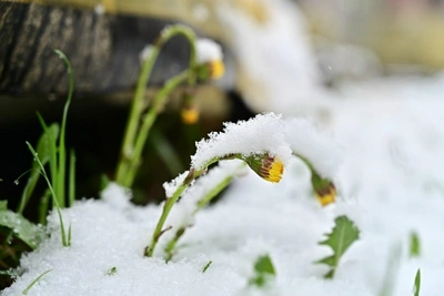 Андрей Шихов спрогнозировал окончание снегопада в Перми