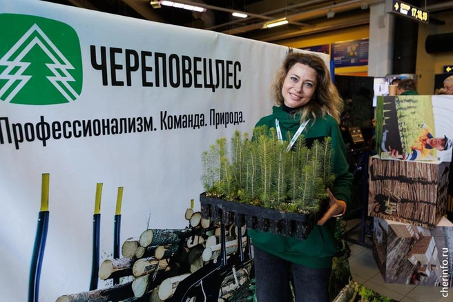 Источник: st.cherinfo.ru